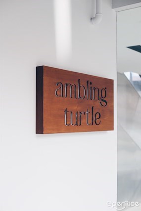 ambling turtle