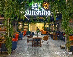 You Are My Sunshine