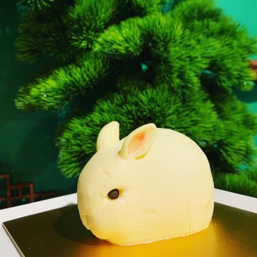 White Bunny