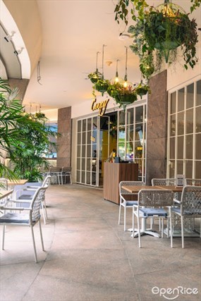 Canopy Garden Dining