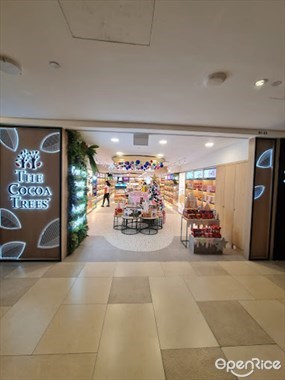 The Cocoa Trees
