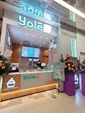 Yole@100AM