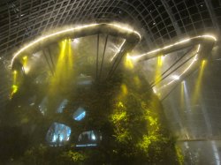 dreamfusion